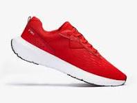 Shoe's